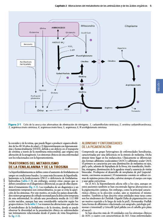 Farreras-Rozman. Medicina Interna. Metabolismo y nutrición. Endocrinología
